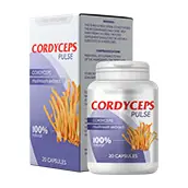 Cordyceps Pulse