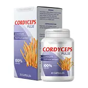 Cordyceps Pulse