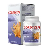 Cordyceps Pulse